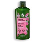 Yves Rocher Shampoo for dyed hair 1×300 ml shampoo Yves Rocher Shampoo for dyed hair 1×300 ml shampoo