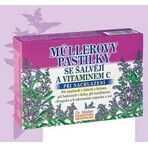 MÜLLER'S PASTILLS SHALVIA ET VITAMINE C 1×24 pcs, pour les rhumes MÜLLER'S PASTILLS SHALVIA ET VITAMINE C 1×24 pcs, pour les rhumes