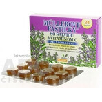 MÜLLER'S PASTILLS SHALVIA ET VITAMINE C 1×24 pcs, pour les rhumes MÜLLER'S PASTILLS SHALVIA ET VITAMINE C 1×24 pcs, pour les rhumes