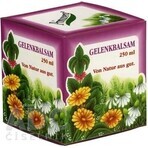 SPRING SPRING RINGELBLUMEN SALVE 1×250 ml, pomada de caléndula SPRING SPRING RINGELBLUMEN SALVE 1×250 ml, pomada de caléndula