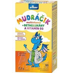 VITAR MUDráčik multivitaminen met duindoorn 1×60 tbl, gemengde bossmaak VITAR MUDráčik multivitaminen met duindoorn 1×60 tbl, gemengde bossmaak