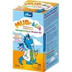 VITAR MUDráčik multivitaminen met duindoorn 1×60 tbl, gemengde bossmaak VITAR MUDráčik multivitaminen met duindoorn 1×60 tbl, gemengde bossmaak