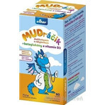 VITAR MUDráčik multivitaminen met duindoorn 1×60 tbl, gemengde bossmaak VITAR MUDráčik multivitaminen met duindoorn 1×60 tbl, gemengde bossmaak