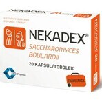 NEKADEX 1×20 cps, Nahrungsergänzungsmittel NEKADEX 1×20 cps, Nahrungsergänzungsmittel