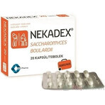 NEKADEX 1×20 cps, Nahrungsergänzungsmittel NEKADEX 1×20 cps, Nahrungsergänzungsmittel