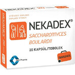 NEKADEX 1×20 cps, Nahrungsergänzungsmittel NEKADEX 1×20 cps, Nahrungsergänzungsmittel
