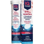 IQ MAG magnesium 375 mg+B6 orange 1×20 tbl, food supplement IQ MAG magnesium 375 mg+B6 orange 1×20 tbl, food supplement