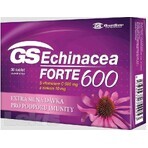 GS Echinacea FORTE 600mg 1×30 tbl, food supplement