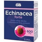 GS Echinacea FORTE 600mg 1×30 tbl, food supplement