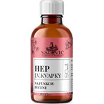 J.V. HEP 1×50 ml, para la función hepática J.V. HEP 1×50 ml, para la función hepática
