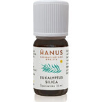 HANUS SILICA EUCALYPT 1×10 ml huile essentielle