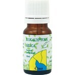 HANUS SILICA EUCALYPT 1×10 ml huile essentielle