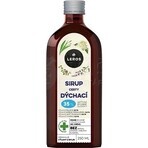 LEROS SIRUP VOYAGES RESPIRATOIRES 1×250 ml, complément alimentaire