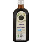 LEROS SIRUP REIZEN 1×250 ml, voedingssupplement LEROS SIRUP REIZEN 1×250 ml, voedingssupplement