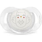 SUAVINEX | Anatomic SX PRO GOODHOMY anatomisch +18 m SOVIČČKA - grün 1×1 Stück, Socke SUAVINEX | Anatomic SX PRO GOODHOMY anatomisch +18 m SOVIČČKA - grün 1×1 Stück, Socke
