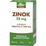 VITAR ORGANIC Zinc 25 mg 1×60 tbl, care conține vitamina C VITAR ORGANIC Zinc 25 mg 1×60 tbl, care conține vitamina C