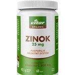 VITAR ORGANIC Zinc 25 mg 1×60 tbl, care conține vitamina C VITAR ORGANIC Zinc 25 mg 1×60 tbl, care conține vitamina C