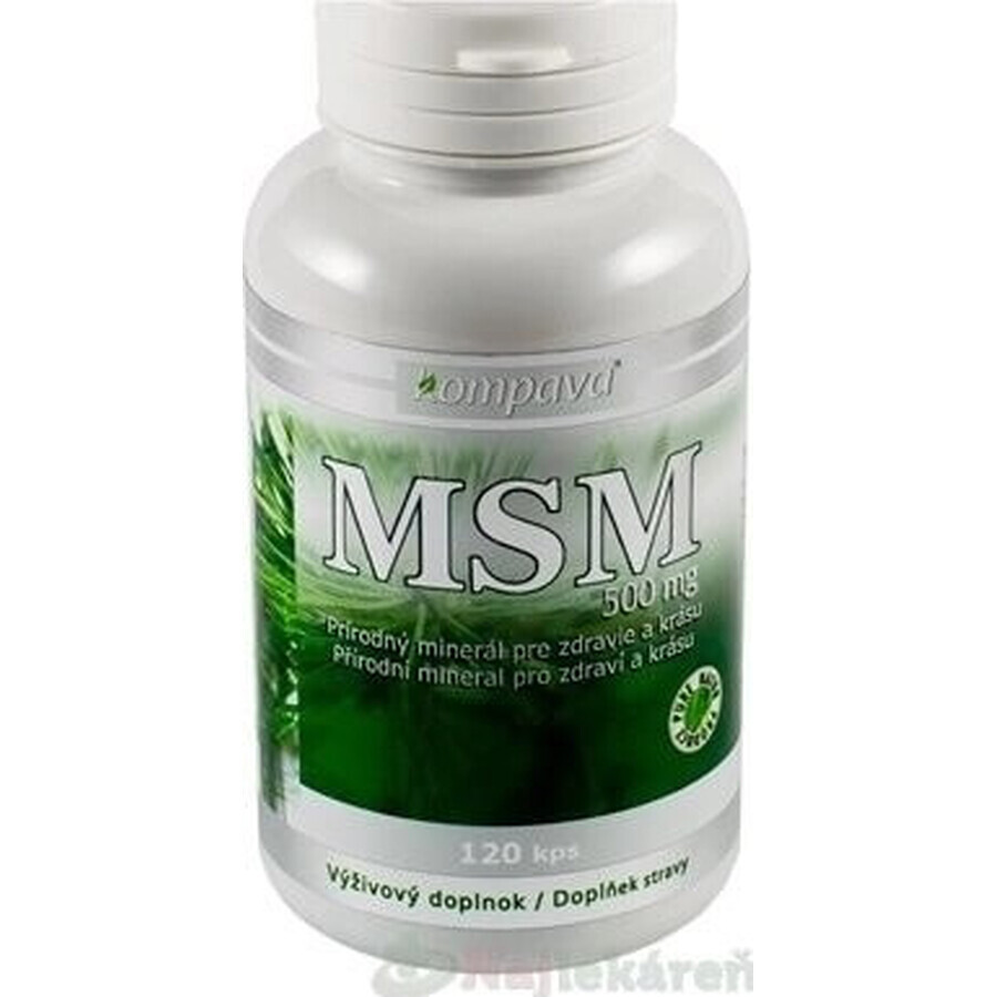 kompava MSM 500 mg 1×120 cps, integratore alimentare