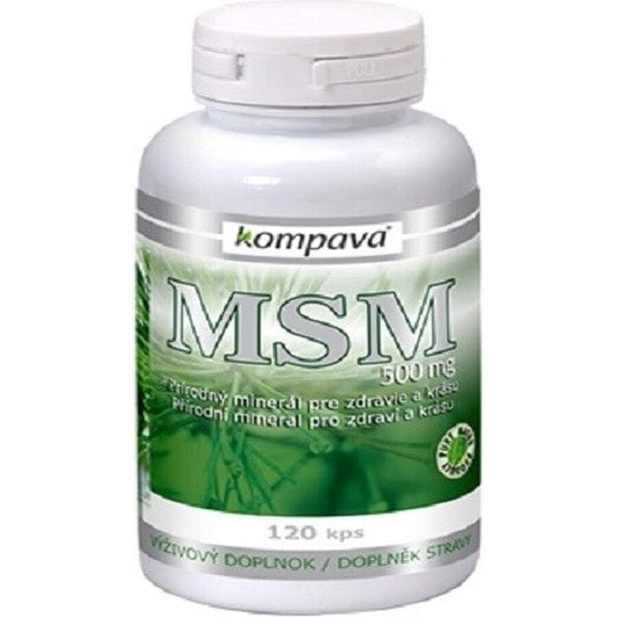 kompava MSM 500 mg 1×120 cps, integratore alimentare
