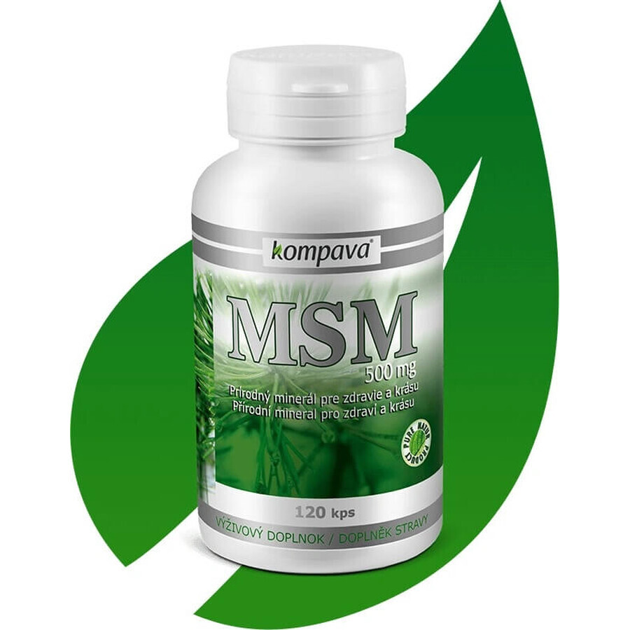 kompava MSM 500 mg 1×120 cps, integratore alimentare