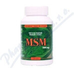 kompava MSM 500 mg 1×120 cps, integratore alimentare