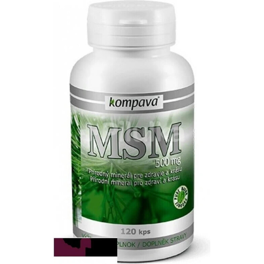 kompava MSM 500 mg 1×120 cps, integratore alimentare