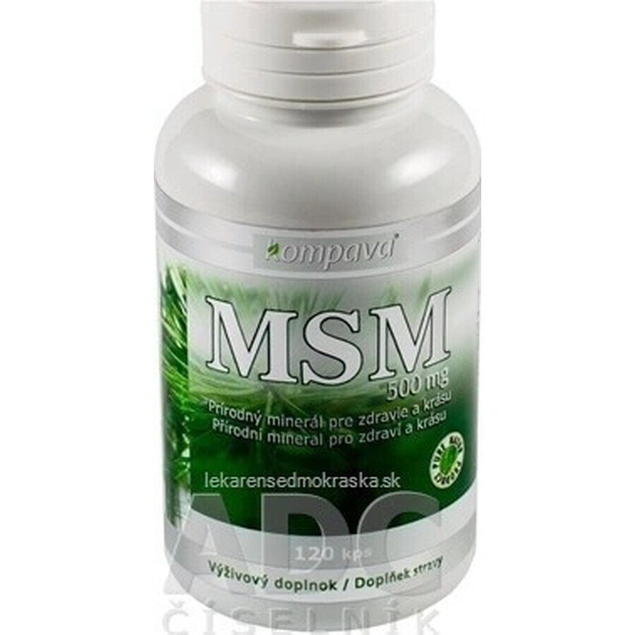 kompava MSM 500 mg 1×120 cps, integratore alimentare