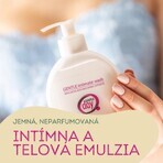 Emulsione intima delicata giorno 1×250 ml, emulsione intima Emulsione intima delicata giorno 1×250 ml, emulsione intima
