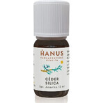 HANUS-SILIKA-ZEDERN 1×10 ml, ätherisches Öl HANUS-SILIKA-ZEDERN 1×10 ml, ätherisches Öl