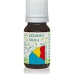 HANUS-SILIKA-ZEDERN 1×10 ml, ätherisches Öl HANUS-SILIKA-ZEDERN 1×10 ml, ätherisches Öl