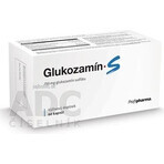 Profipharma Glucosamine S 1×60 cps, nutriție pentru articulații Profipharma Glucosamine S 1×60 cps, nutriție pentru articulații