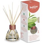 Bolsius Aromatic 2.0 Green Tea Diffuser Scented Sticks 1×45 ml, fragrance for apartment