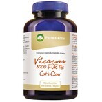 Pharma Activ Vilcacora 3000 FORTE Cat´s Claw 1×200 cps, food supplement Pharma Activ Vilcacora 3000 FORTE Cat´s Claw 1×200 cps, food supplement