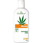Cannaderm AKNEA treatment water 1×200 ml, acne treatment water Cannaderm AKNEA treatment water 1×200 ml, acne treatment water
