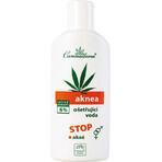 Cannaderm AKNEA treatment water 1×200 ml, acne treatment water Cannaderm AKNEA treatment water 1×200 ml, acne treatment water