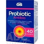 GS Probiotic Antibiotic 1×10 cps, integratore alimentare GS Probiotic Antibiotic 1×10 cps, integratore alimentare
