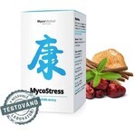 Mycomedica Mycostress 350mg 180cps 1×180 cps Mycomedica Mycostress 350mg 180cps 1×180 cps