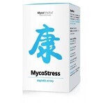 Mycomedica Mycostress 350mg 180cps 1×180 cps Mycomedica Mycostress 350mg 180cps 1×180 cps