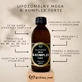 Healthy World Liposomal vitamin mega B-complex forte 1×200 ml, supplément vitaminique