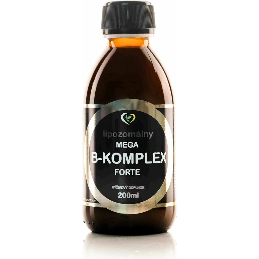 Healthy World Liposomal vitamin mega B-complex forte 1×200 ml, integratore vitaminico