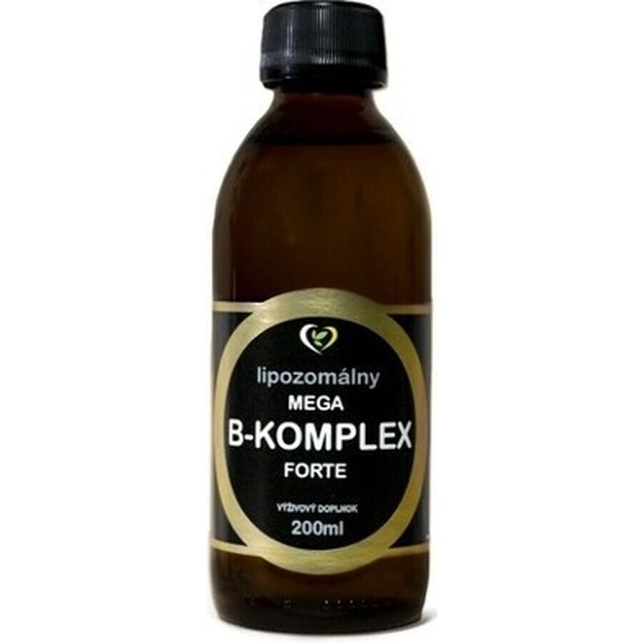 Healthy World Liposomal vitamin mega B-complex forte 1×200 ml, integratore vitaminico