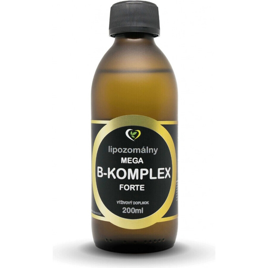 Healthy World Liposomal vitamin mega B-complex forte 1×200 ml, integratore vitaminico