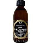 Healthy World Liposomal vitamin mega B-complex forte 1×200 ml, integratore vitaminico Healthy World Liposomal vitamin mega B-complex forte 1×200 ml, integratore vitaminico