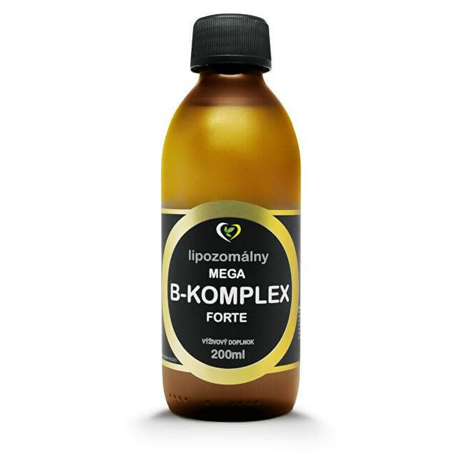 Healthy World Liposomal vitamin mega B-complex forte 1×200 ml, integratore vitaminico