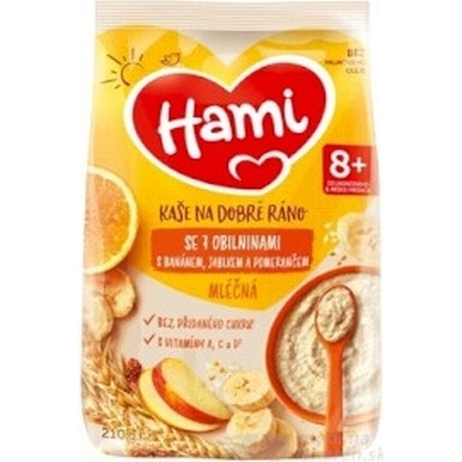 HAMI Porridge ai 7 cereali con banana, mela e arancia 1×210 g, porridge di frutta HAMI Porridge ai 7 cereali con banana, mela e arancia 1×210 g, porridge di frutta
