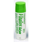 VITALOS Lip balm aloe vera lip balm SPF 5 1×1 pc, lip balm VITALOS Lip balm aloe vera lip balm SPF 5 1×1 pc, lip balm