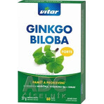 VITAR Ginkgo biloba Forte 1×60 cps, complemento alimenticio VITAR Ginkgo biloba Forte 1×60 cps, complemento alimenticio