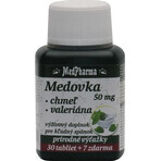 MedPharma MIELE 50MG + HOPE + VALERIANA 1×37 tbl, MIELE + HOPE + VALERIANA MedPharma MIELE 50MG + HOPE + VALERIANA 1×37 tbl, MIELE + HOPE + VALERIANA