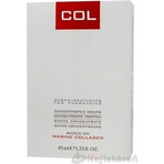 VITAL PLUS ACTIVE COL (konzentrierte Tropfen mit Meereskollagen) 1x45 ml VITAL PLUS ACTIVE COL (konzentrierte Tropfen mit Meereskollagen) 1x45 ml
