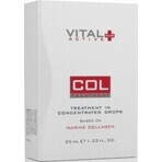 VITAL PLUS ACTIVE COL (konzentrierte Tropfen mit Meereskollagen) 1x45 ml VITAL PLUS ACTIVE COL (konzentrierte Tropfen mit Meereskollagen) 1x45 ml